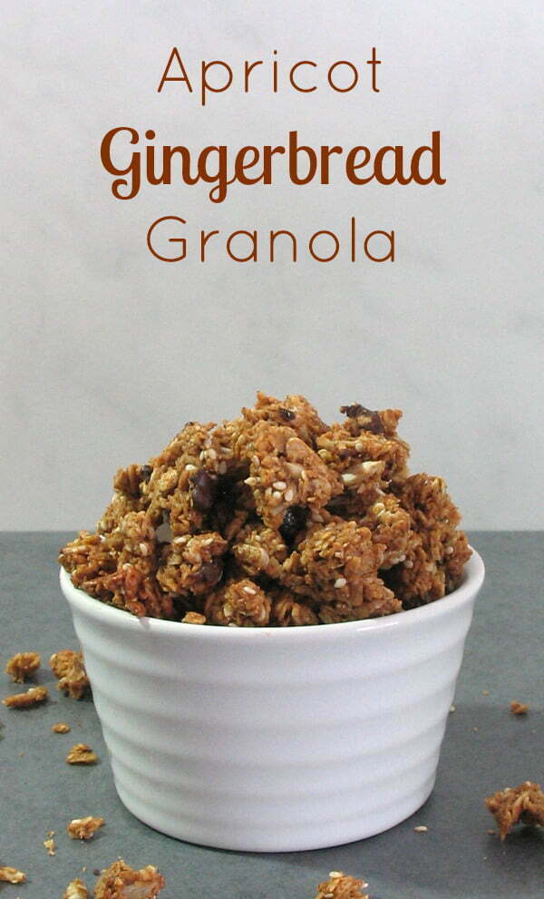 Apricot Gingerbread Granola - molasses and spice and all things nice! | sliceofkitchenlife.com